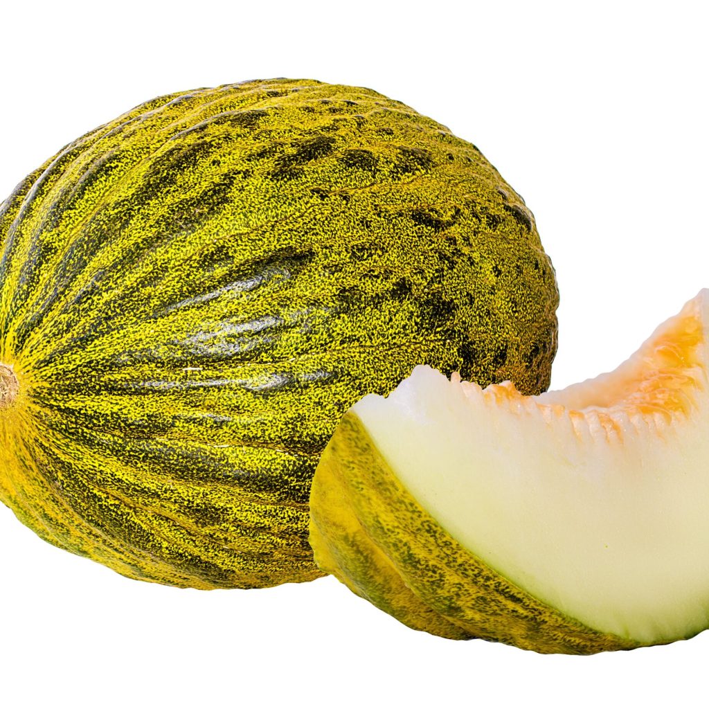 melon-isolated-on-white-background-2025-10-13-23-40-06-utc